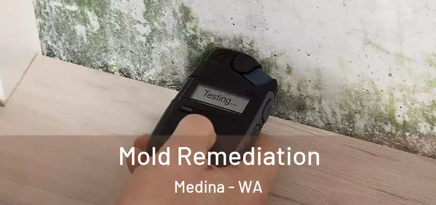 Mold Remediation Medina - WA