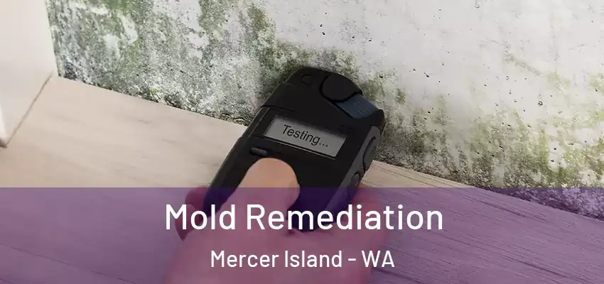 Mold Remediation Mercer Island - WA
