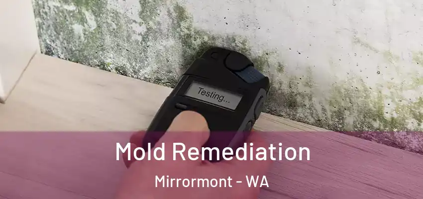  Mold Remediation Mirrormont - WA