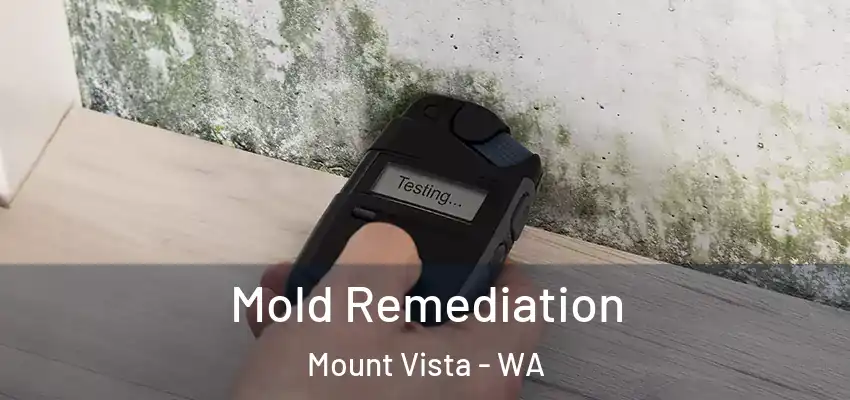  Mold Remediation Mount Vista - WA