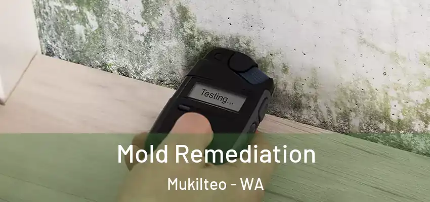 Mold Remediation Mukilteo - WA