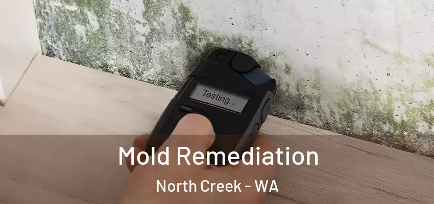  Mold Remediation North Creek - WA