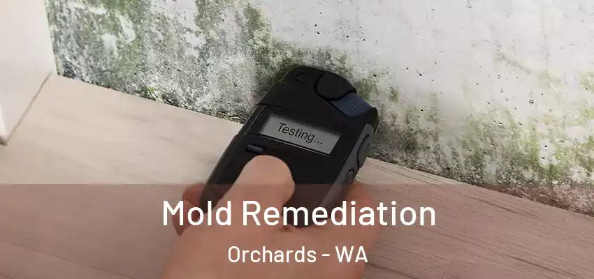  Mold Remediation Orchards - WA