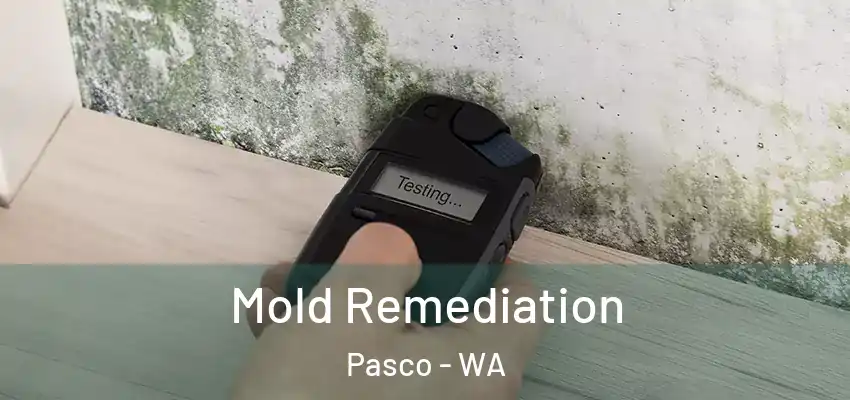  Mold Remediation Pasco - WA