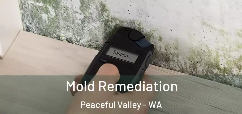 Mold Remediation Peaceful Valley - WA