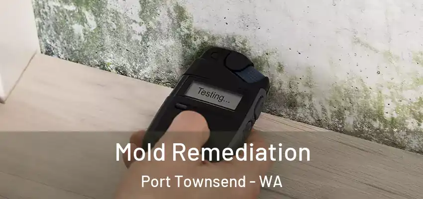  Mold Remediation Port Townsend - WA