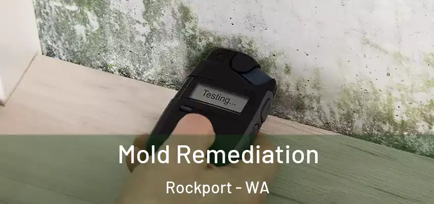 Mold Remediation Rockport - WA