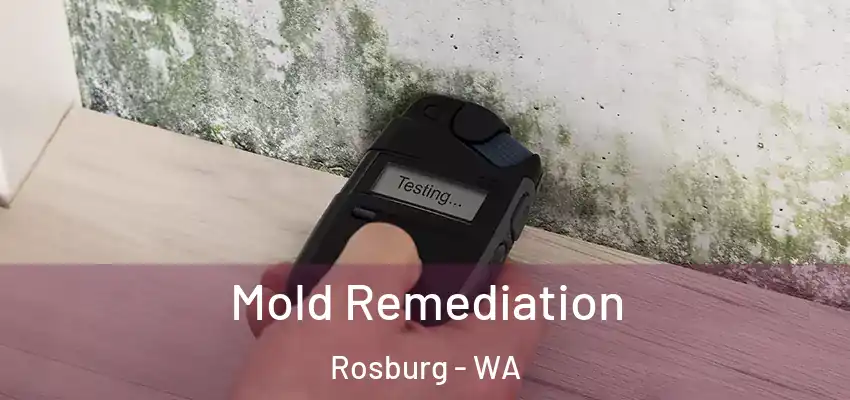  Mold Remediation Rosburg - WA
