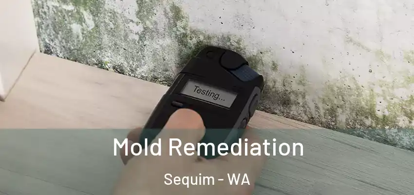  Mold Remediation Sequim - WA