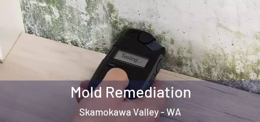 Mold Remediation Skamokawa Valley - WA