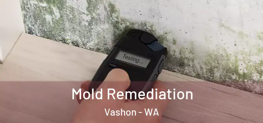 Mold Remediation Vashon - WA