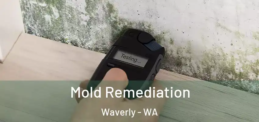 Mold Remediation Waverly - WA