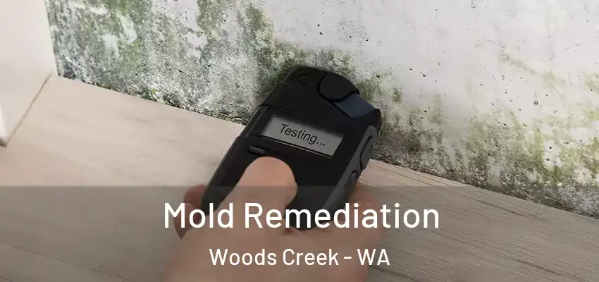 Mold Remediation Woods Creek - WA