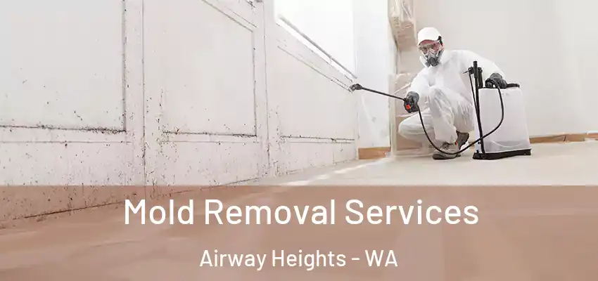  Mold Removal Services Airway Heights - WA