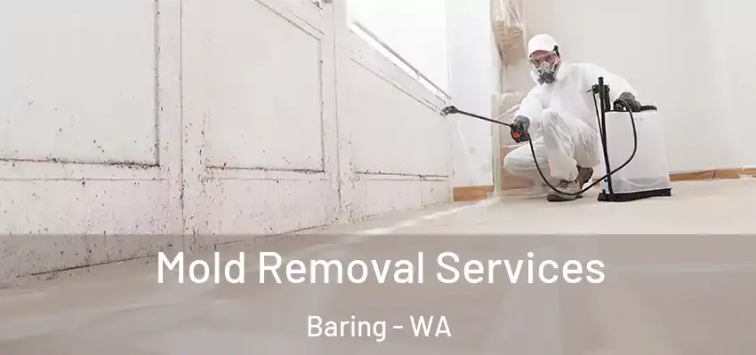  Mold Removal Services Baring - WA