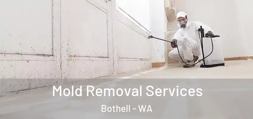  Mold Removal Services Bothell - WA