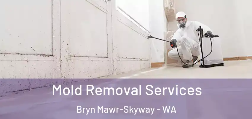  Mold Removal Services Bryn Mawr-Skyway - WA
