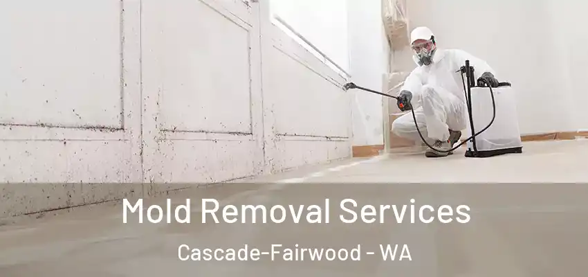  Mold Removal Services Cascade-Fairwood - WA