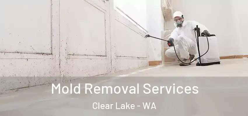  Mold Removal Services Clear Lake - WA