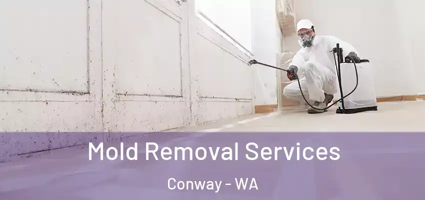  Mold Removal Services Conway - WA