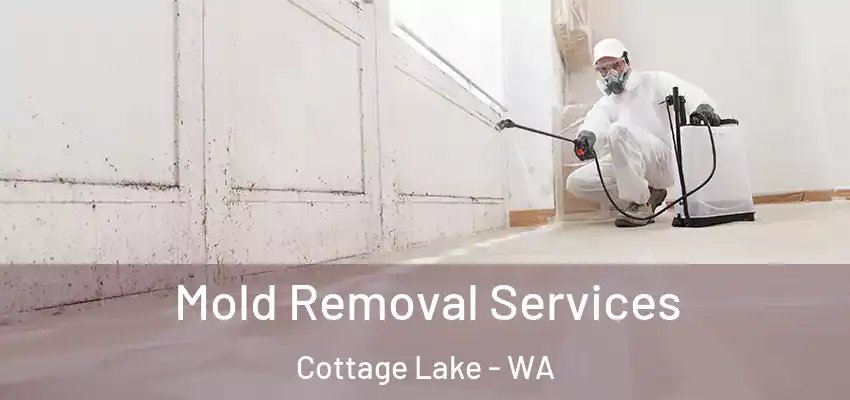 Mold Removal Services Cottage Lake - WA
