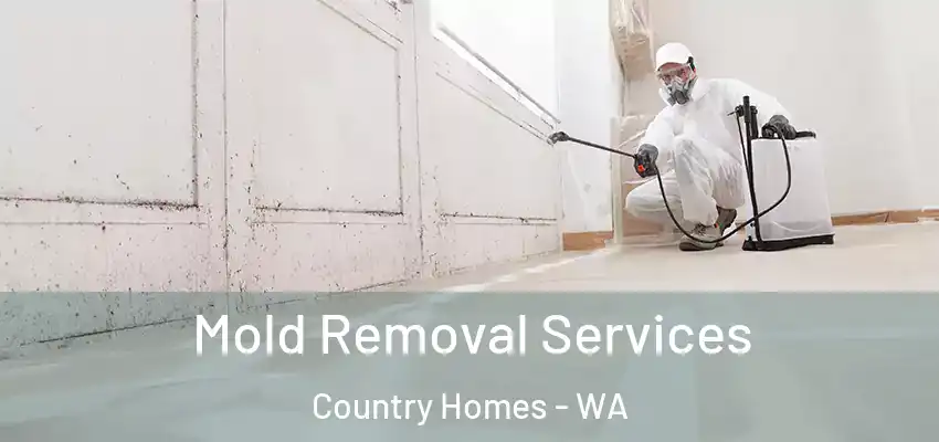  Mold Removal Services Country Homes - WA