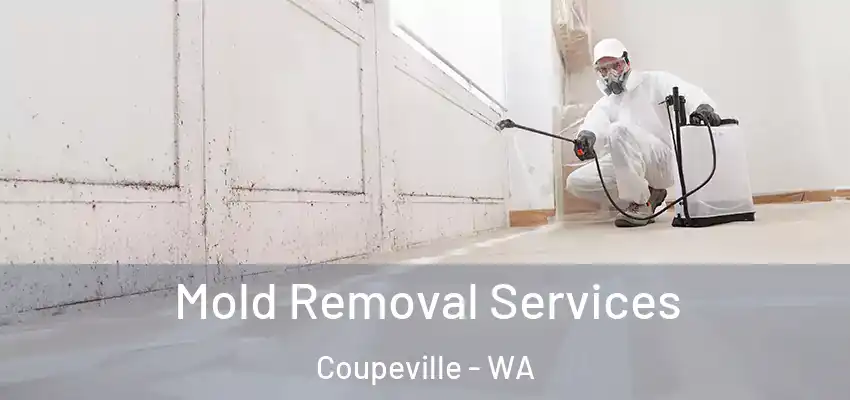  Mold Removal Services Coupeville - WA