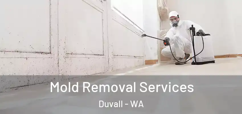  Mold Removal Services Duvall - WA