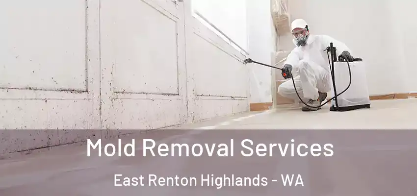Mold Removal Services East Renton Highlands - WA