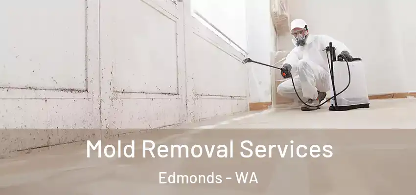  Mold Removal Services Edmonds - WA