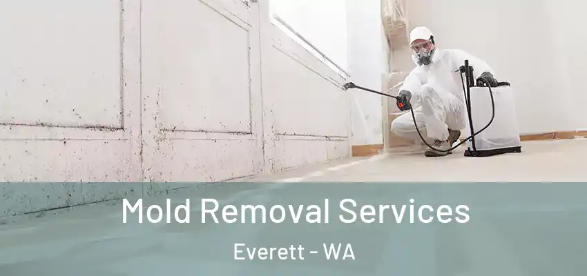  Mold Removal Services Everett - WA