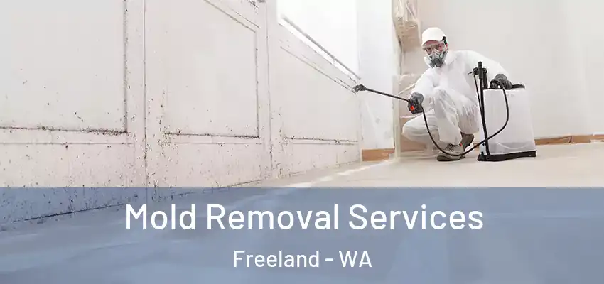  Mold Removal Services Freeland - WA