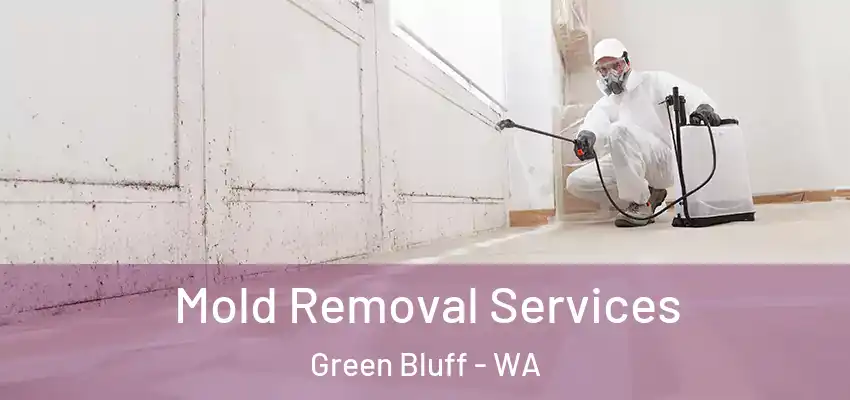  Mold Removal Services Green Bluff - WA