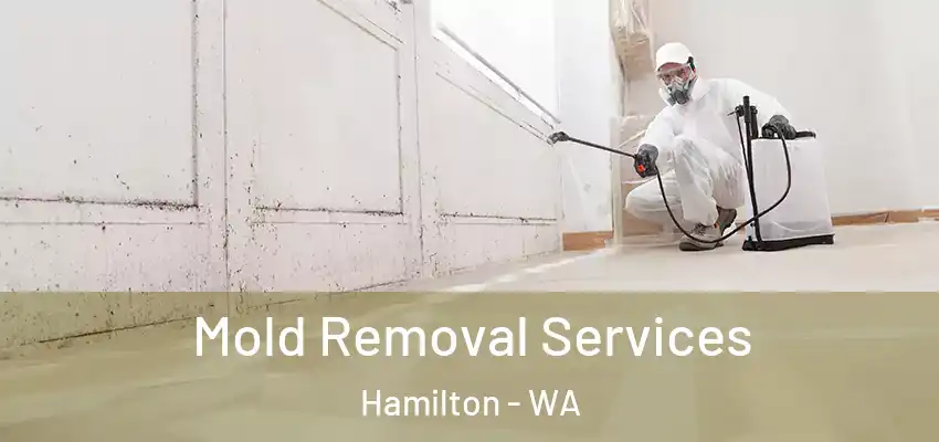  Mold Removal Services Hamilton - WA