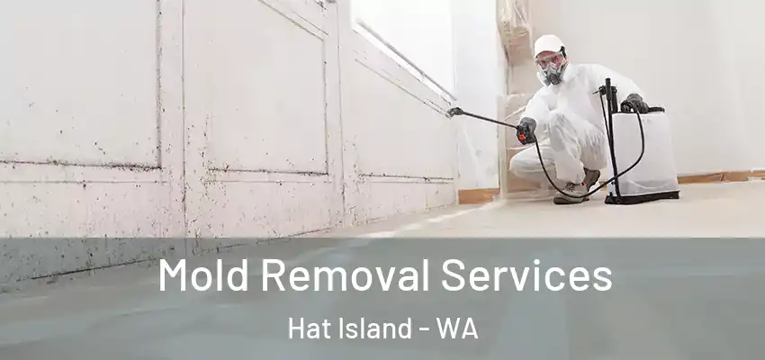 Mold Removal Services Hat Island - WA
