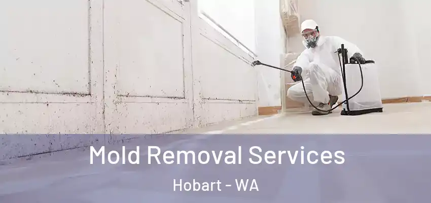  Mold Removal Services Hobart - WA