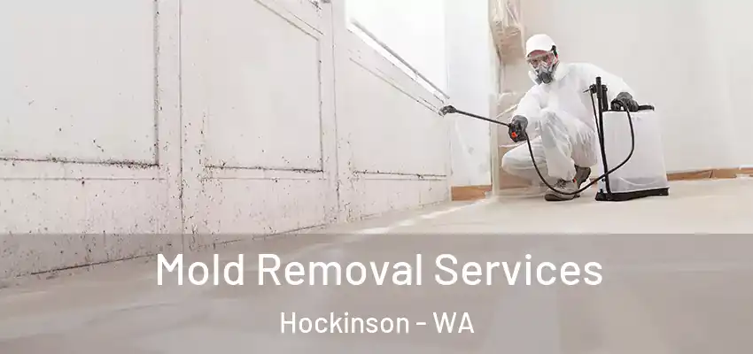 Mold Removal Services Hockinson - WA