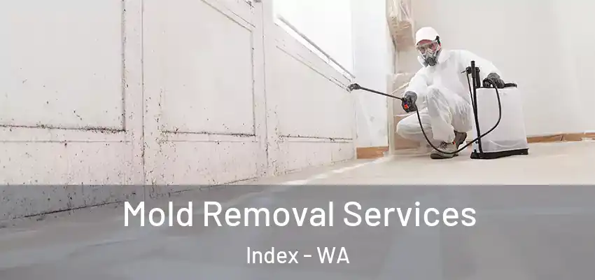  Mold Removal Services Index - WA