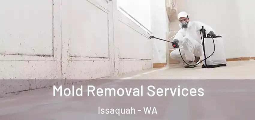  Mold Removal Services Issaquah - WA