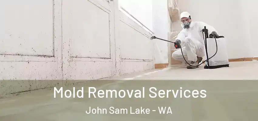  Mold Removal Services John Sam Lake - WA