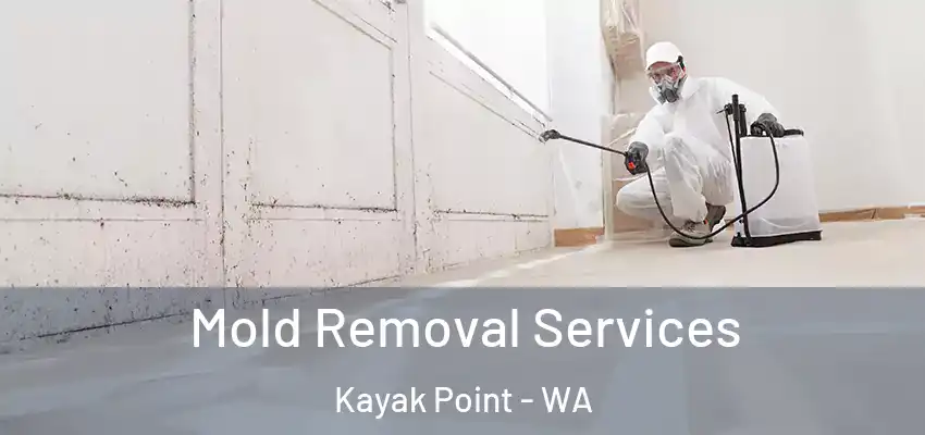Mold Removal Services Kayak Point - WA
