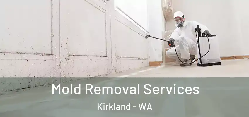  Mold Removal Services Kirkland - WA
