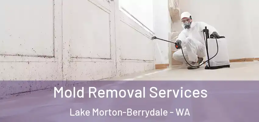 Mold Removal Services Lake Morton-Berrydale - WA