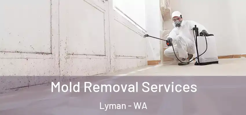 Mold Removal Services Lyman - WA