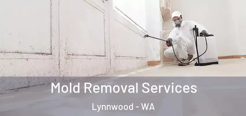  Mold Removal Services Lynnwood - WA