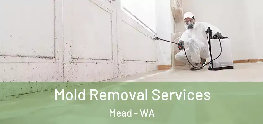  Mold Removal Services Mead - WA