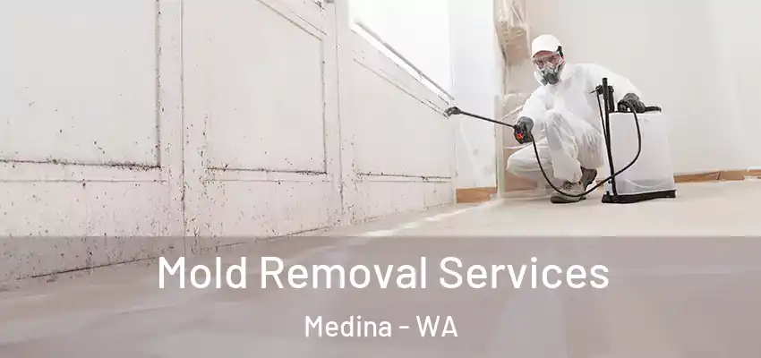  Mold Removal Services Medina - WA