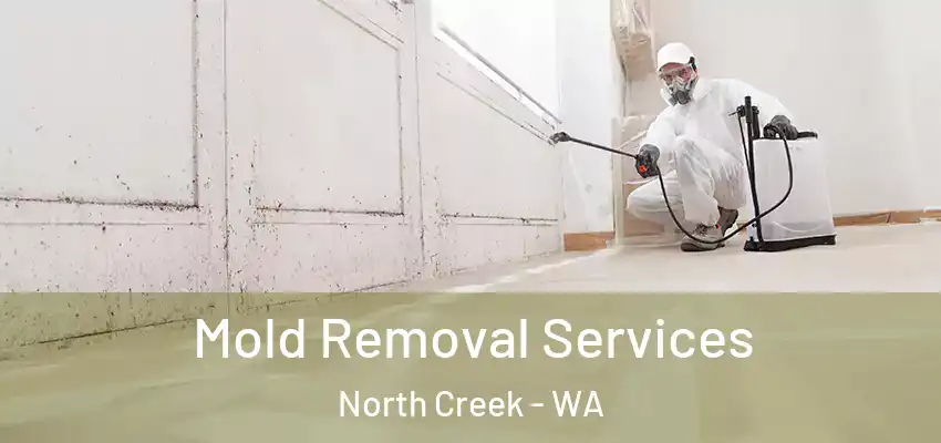  Mold Removal Services North Creek - WA