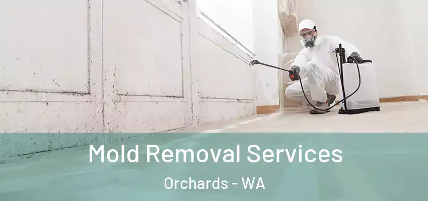  Mold Removal Services Orchards - WA