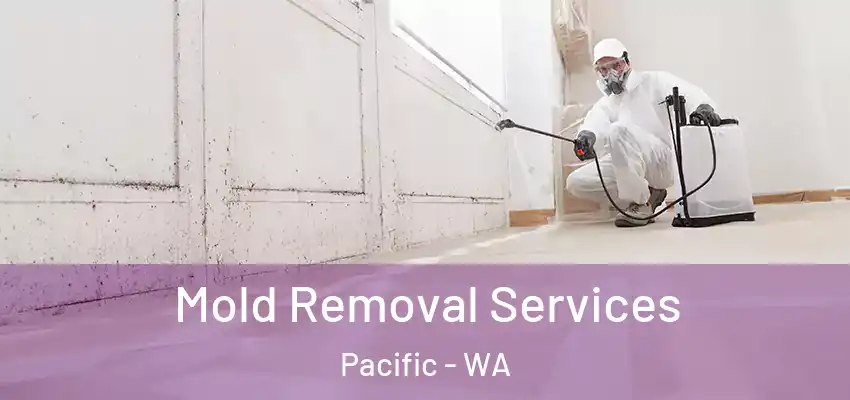  Mold Removal Services Pacific - WA